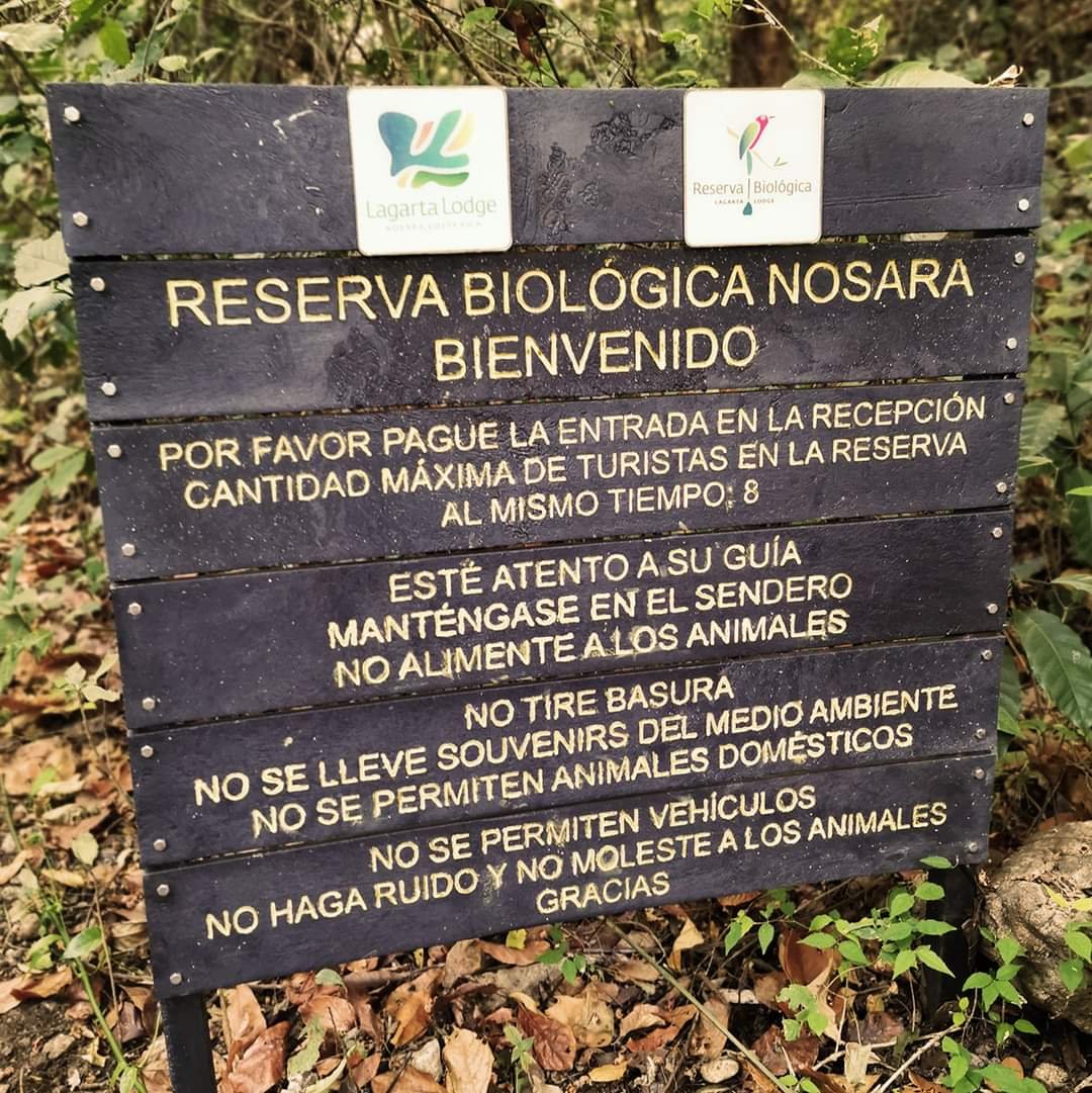 reserva-ostional-guiones-4